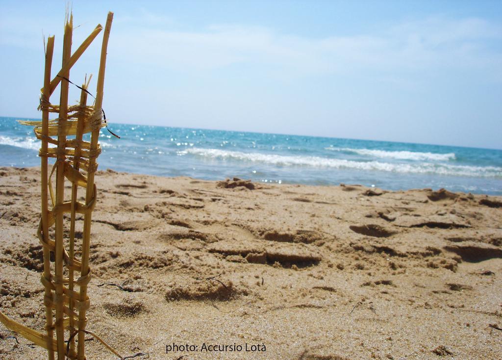 Villa Fiori Beach 멘피 외부 사진